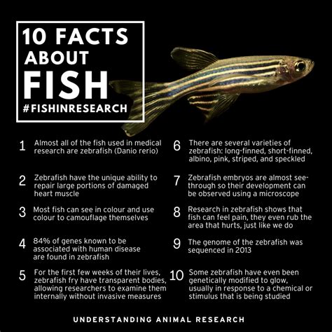 fun facts about fish.